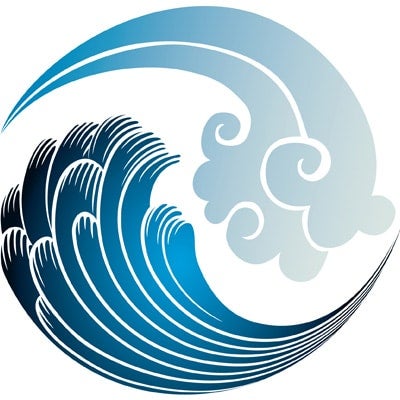 Eponge axinelle - Institut océanographique Paul Ricard